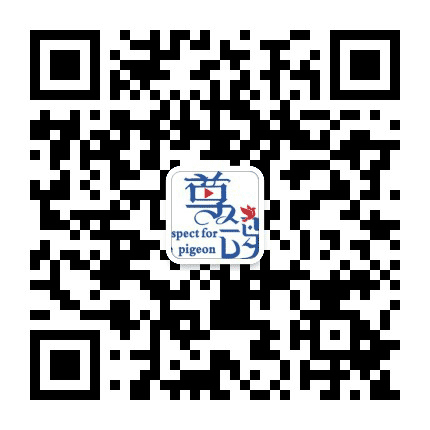 尊鸽影视传媒公众号二维码