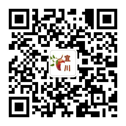 新宜川公众号二维码