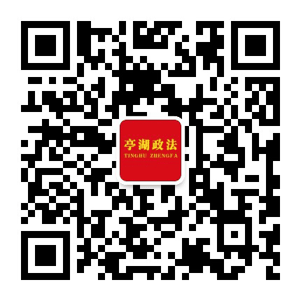 亭湖政法公众号二维码