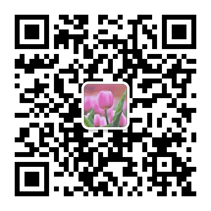 益智爱玩森林公众号二维码