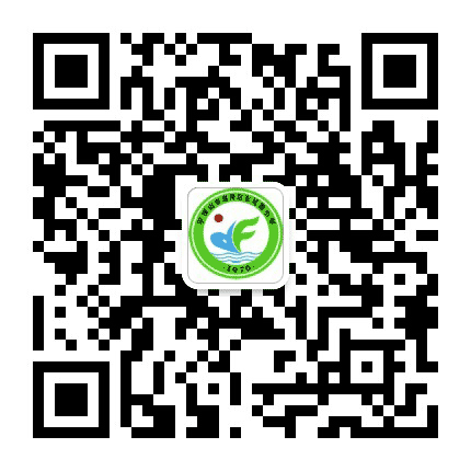 平顶山市湛河区东风路小学公众号二维码