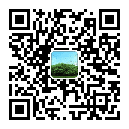 新会清风公众号二维码