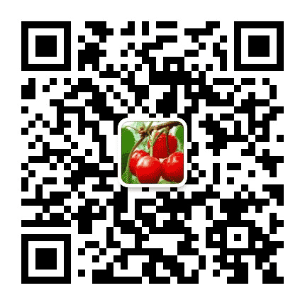 大美铁山公众号二维码
