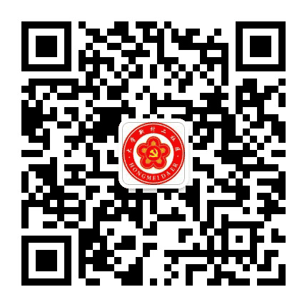 红梅大二公众号二维码
