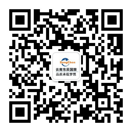 云南东辰国际旅行社公众号二维码