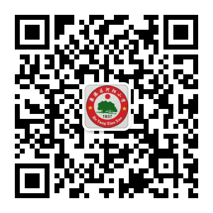 泉港区河阳小学公众号二维码