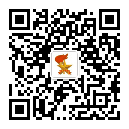 绥化少先队公众号二维码
