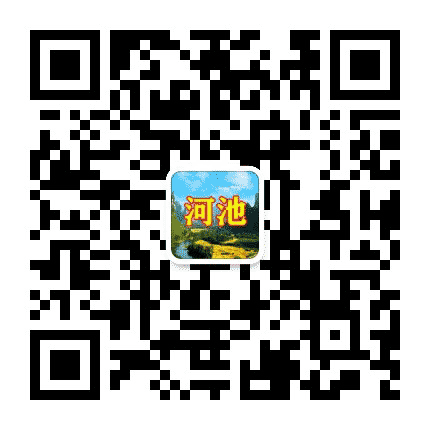 河池资讯圈公众号二维码