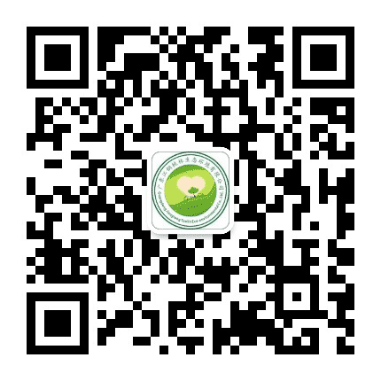 广东桃林公众号二维码