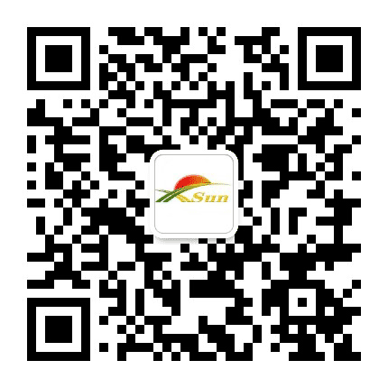 向阳国际公众号二维码