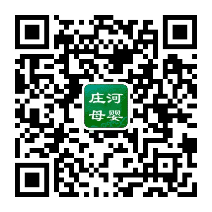 庄河母婴公众号二维码