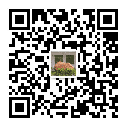 和孝荷村公众号二维码