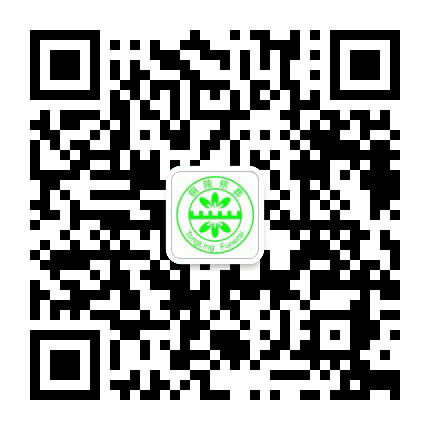 铜陵殡仪公众号二维码