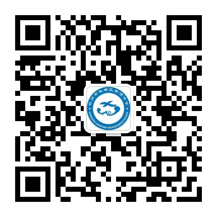杭州钱塘新区新湾中学公众号二维码