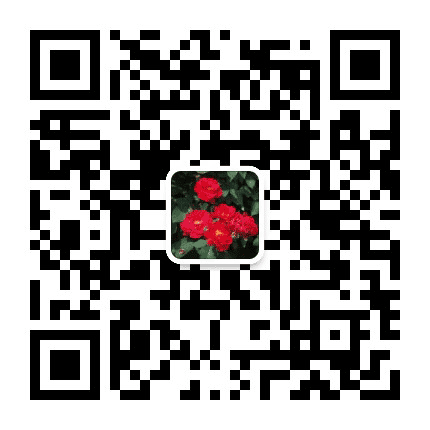 小雅情歌公众号二维码