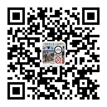 天桥岭森林公安局森侦大队公众号二维码