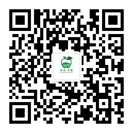 今日汪疃公众号二维码
