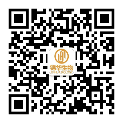 锦华伊晟臻爱公众号二维码