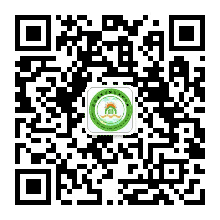 高桥学校公众号二维码