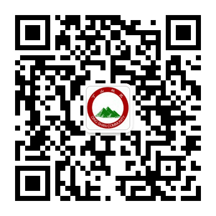 临平街道丁山社区公众号二维码