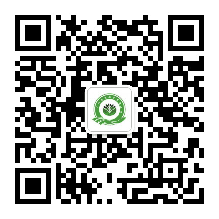 白云区龙溪小学公众号二维码