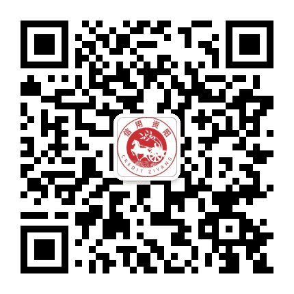 信用资阳公众号二维码