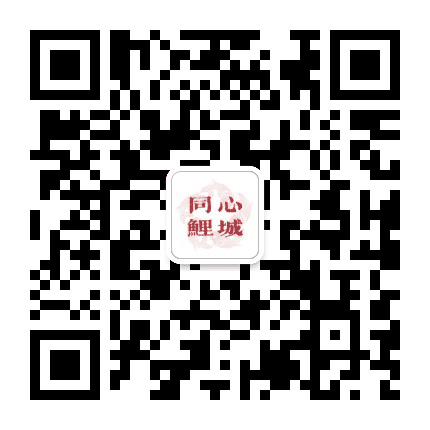 鲤城统一战线公众号二维码
