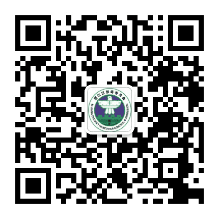 碧江禁毒在线公众号二维码