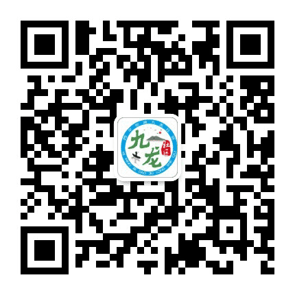 西平街道九龙社区公众号二维码