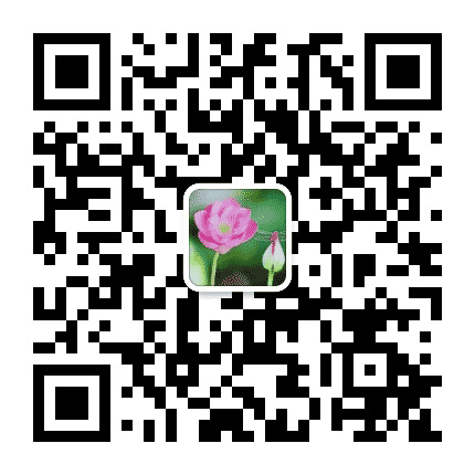 双大文旅公众号二维码