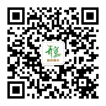 宣桥青年公众号二维码