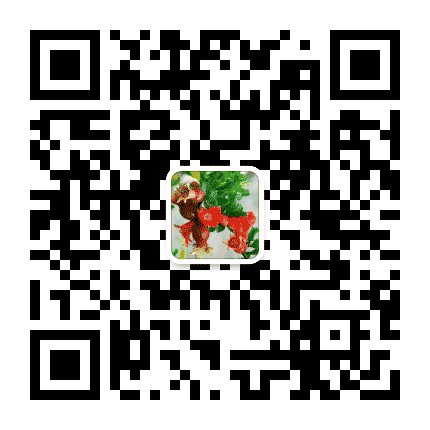 轮台女声公众号二维码