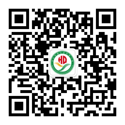 汕头市濠江区华桥小学公众号二维码