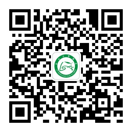 乐山小语公众号二维码