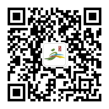 文旅龙马潭公众号二维码