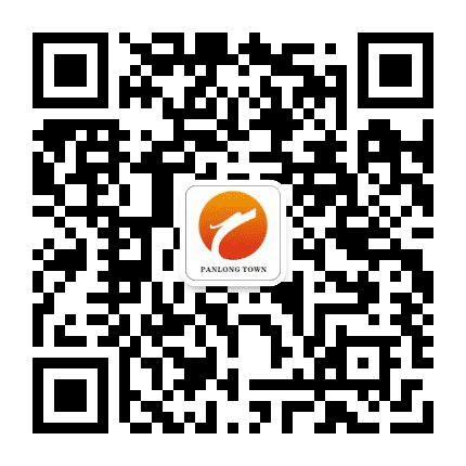 盘龙视点公众号二维码
