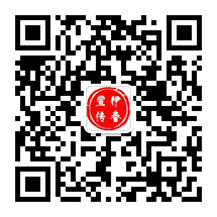 伊春宣传公众号二维码