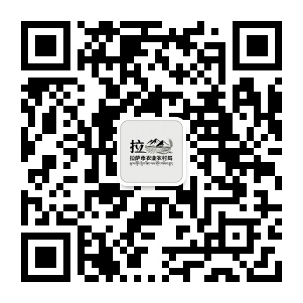 拉萨扶贫公众号二维码