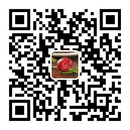 小店东小店公众号二维码