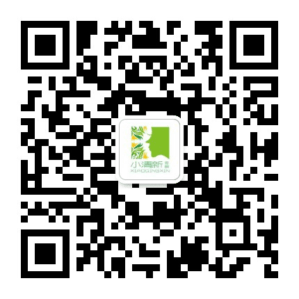 小清新的风格公众号二维码