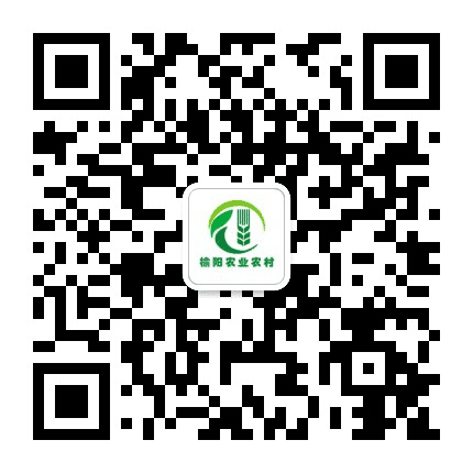 榆阳区扶贫开发办公室公众号二维码