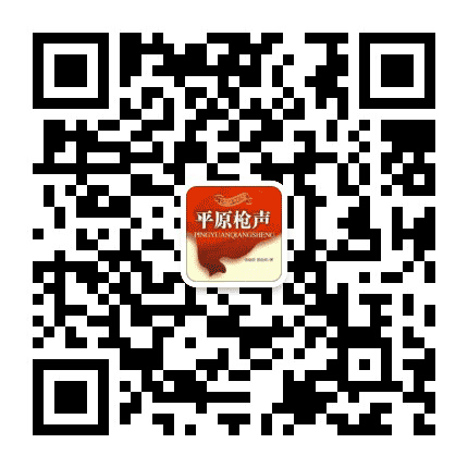 平原枪声红色传承馆公众号二维码