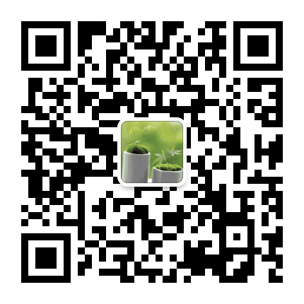 生活小妙招百科公众号二维码