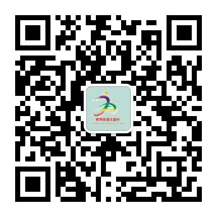 郫筒街道文星村青年公众号二维码
