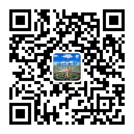 网信大兴公众号二维码