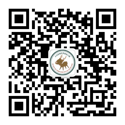大丰城东实验幼儿园公众号二维码