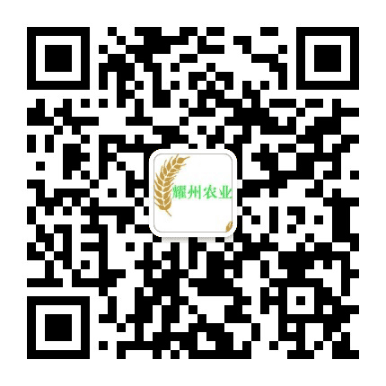 耀州农业公众号二维码
