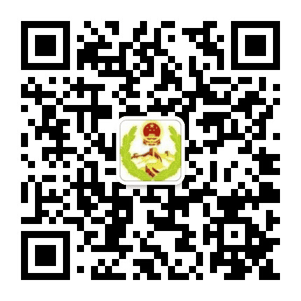 九龙禁毒网公众号二维码