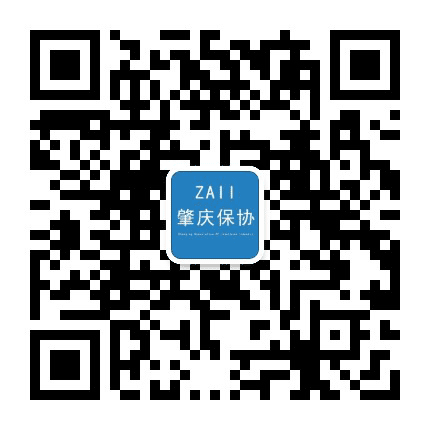 肇庆保协公众号二维码