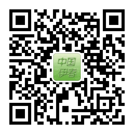 伊春市人民政府公众号二维码